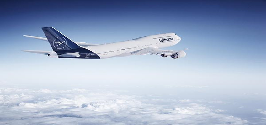 bodog德国空运进口 bodog德国空运进口